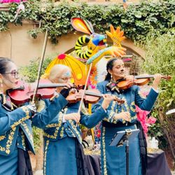 Mariachi Rubor - Mariachi Rubor performing in Sedona, AZ.