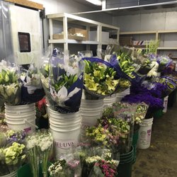 Utopia Import Flowers