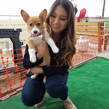 Puppy Town - Couldn't be a happier fur mama! - Pet Stores Near Me - Las Vegas, Nevada