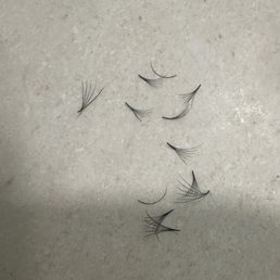 This is how many lashes I've lost in 4 days.