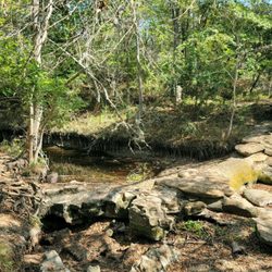 Lockhart State Park - Along a trail