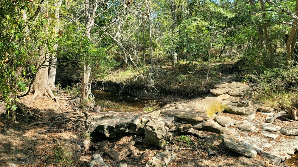 Lockhart State Park Logo