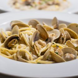 Ristorante Don Giovanni - Linguini With Clams