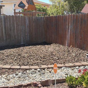 Josue Tree service - Tree Services Near Me Josue Tree service - Tree Services Near Me