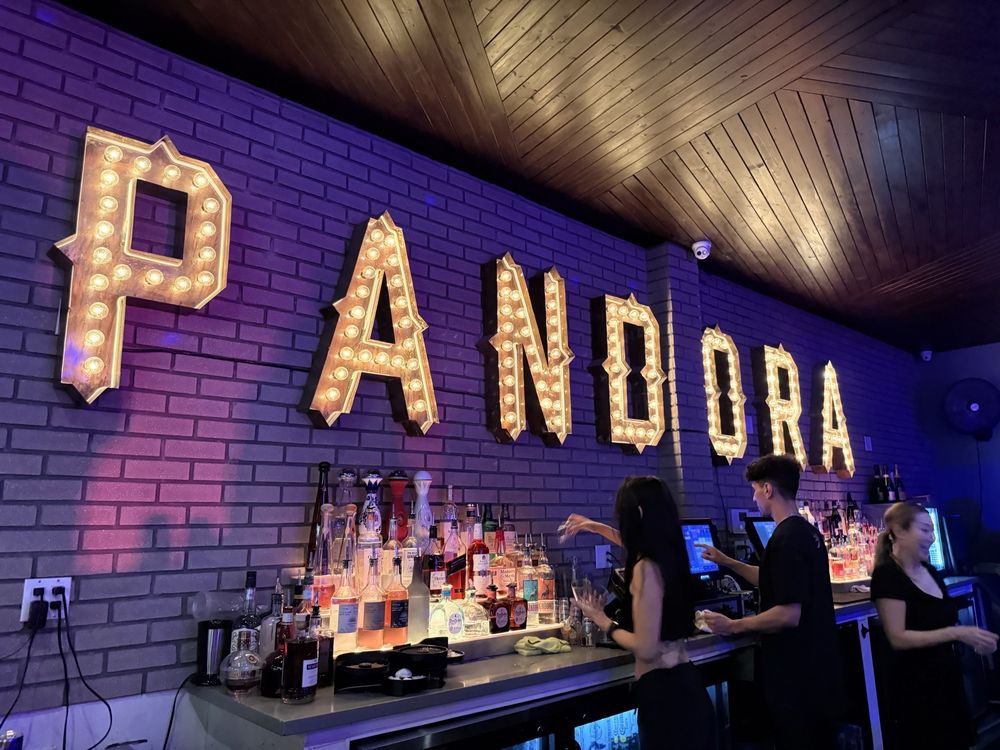 Pandora Karaoke - wedding in San Francisco, CA