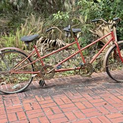 Micanopy - Two person antique bike