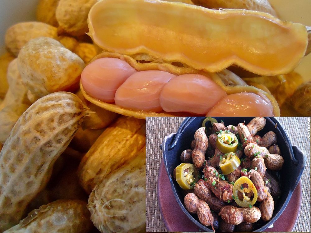 Marshall's Boiled Peanuts Logo