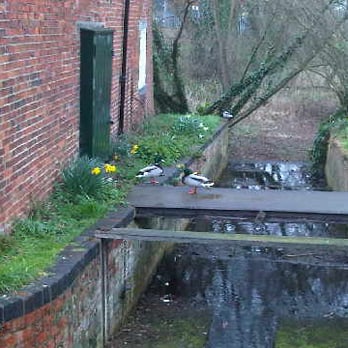 Cogglesford Mill Cottage - British Near Me - Sleaford, LIN Cogglesford Mill Cottage - British Near Me - Sleaford, LIN