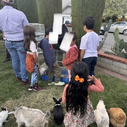 El Sol Montessori - Kids at El Sol Fall Festival 2023.