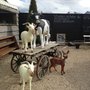 Photo of Shop Du Terroir