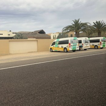 Cactus Tours - Tours Near Me - Cabo San Lucas, BCS