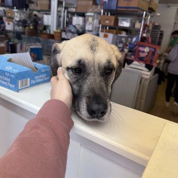 Jack's Snacks: A Dog Bakery - Pet Stores Near Me - Warwick, Rhode Island