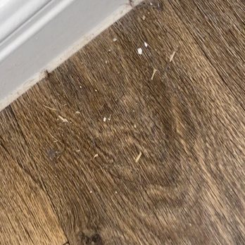 Bless This Mess Cleaning - Home Cleaning Near Me