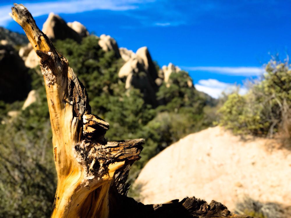 DEVIL’S PUNCHBOWL NATURAL AREA 593 Photos & 122 Reviews Hiking