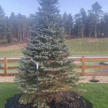 Front Range Landscape and Nursery - 10 days in the ground - Nurseries & Gardening Near Me - Franktown, Colorado Front Range Landscape and Nursery - 10 days in the ground - Nurseries & Gardening Near Me - Franktown, Colorado
