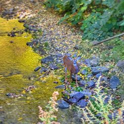Kittatinny Point