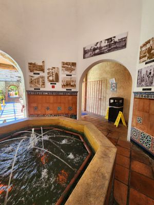 Venetian Pool by null