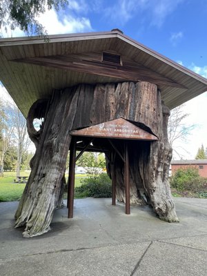 SMOKEY POINT REST AREA - Updated December 2025 - 33 Photos & 18 Reviews