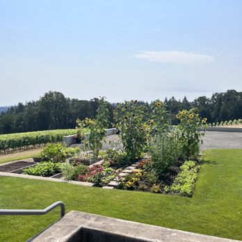 Penner-Ash Wine Cellars - The grounds - Wineries Near Me - Newberg, Oregon Penner-Ash Wine Cellars - The grounds - Wineries Near Me - Newberg, Oregon