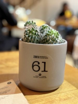 Zenith - Brunch & Cocktails Bar by null
