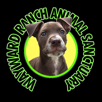 Wayward Ranch Animal Sanctuary - Animal Shelters Near Me Wayward Ranch Animal Sanctuary - Animal Shelters Near Me