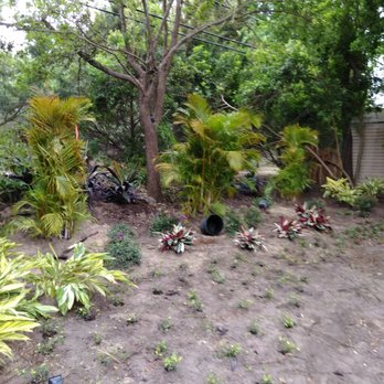 Aloha Landscaping & Services - a garden with a dirt path - Lawn Services Near Me - Clearwater, Florida Aloha Landscaping & Services - a garden with a dirt path - Lawn Services Near Me - Clearwater, Florida
