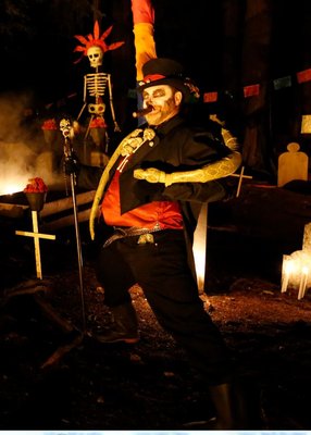 Stanley Park Railway by null