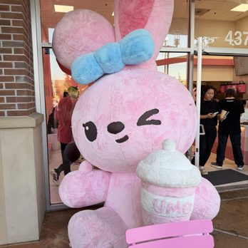 Ume Tea - Bubble Tea Near Me - Fremont, California Ume Tea - Bubble Tea Near Me - Fremont, California