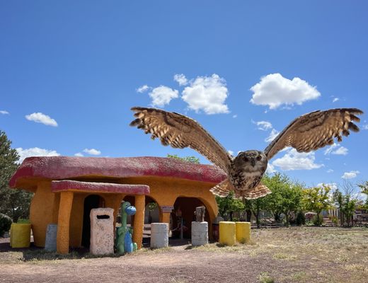 Raptor Ranch by null