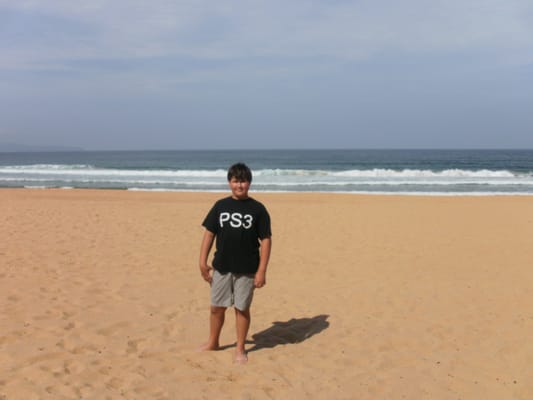 Palm Beach by null