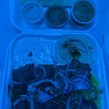 Kings Kabob - Exquisite 3 meat Combo Plate with homemade yogurt and delicious Hummus. With tasty hot sauce - Mediterranean Near Me - Palmdale, California