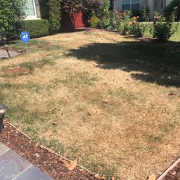 Before Before