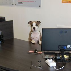 Quick Stop Title and Registration - Bruce. 
Office Manager
A stern but fair boss