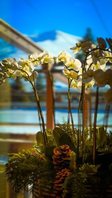 Sun Valley Resort by null