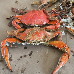 user provided LNT Seafood photo