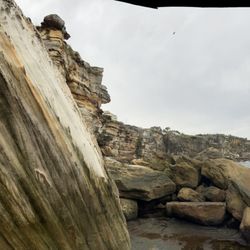 Coogee Beach
