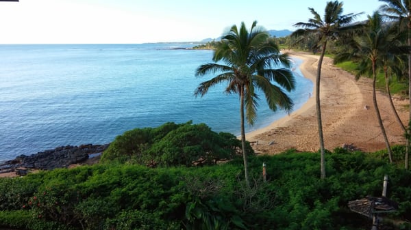Kauai vacation rental on the Royal Coconut Coast at Wailua Bay, #204 by null