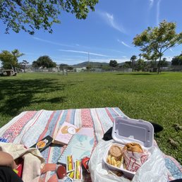 Beautiful weather + well maintained lawn = the perfect picnic spot Beautiful weather + well maintained lawn = the perfect picnic spot
