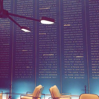 Viceroy Chicago - Hotel Lobby - Hotels Near Me - Chicago, Illinois