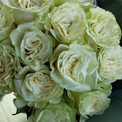 Kroger - Reduced roses for the win!
