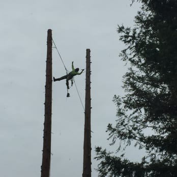 Pacific Crest Arborist - Tree Services Near Me Pacific Crest Arborist - Tree Services Near Me