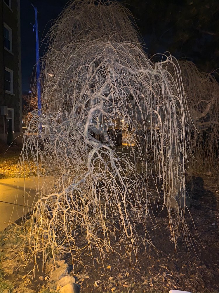 DEAN APARTMENTS Updated October 2024 727 N Capitol Ave, Lansing