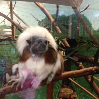 Miller Park Zoo - Zoos Near Me - Bloomington, Illinois Miller Park Zoo - Zoos Near Me - Bloomington, Illinois