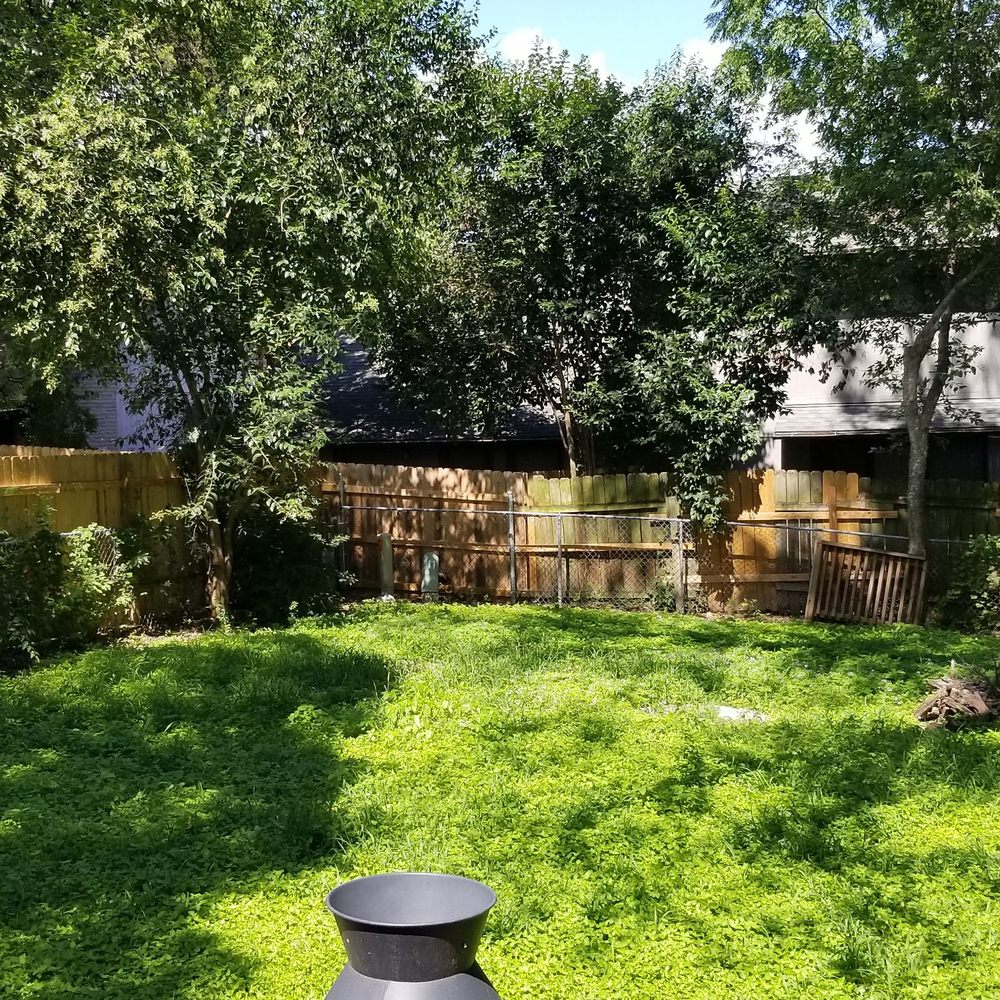 This is my before photo. Had a really beat up old chain link fence with lots of hackberry trees before Jarin came for the estimate. This is my before photo. Had a really beat up old chain link fence with lots of hackberry trees before Jarin came for the estimate.