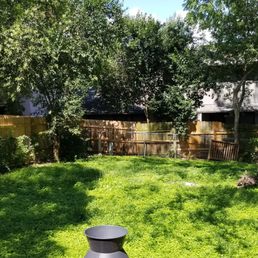 This is my before photo. Had a really beat up old chain link fence with lots of hackberry trees before Jarin came for the estimate.