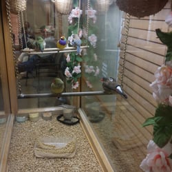 Chattanooga Skin & Cancer Clinic - It's a fun distraction to watch the finches while you wait for your appointment.