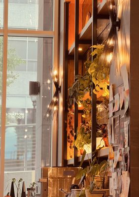 Land of a Thousand Hills Coffee by null