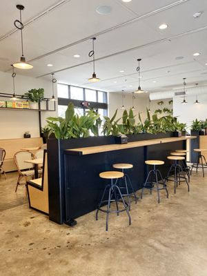 Black Bean Deli-WP by null