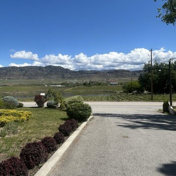 Maverick Estate Winery - View from the patio - Wine Tours Near Me - Oliver, British Columbia Maverick Estate Winery - View from the patio - Wine Tours Near Me - Oliver, British Columbia