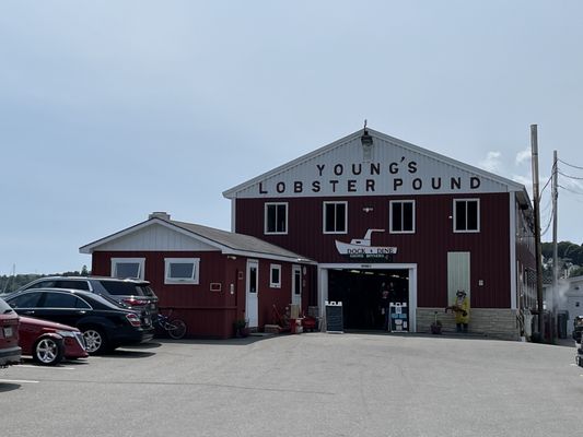 Young's Lobster Pound by null